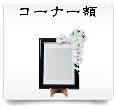ʡ