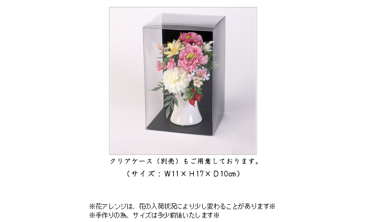 クリアケースもご用意しております、お問合せください。