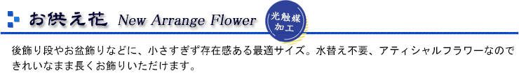 ֥˥塼󥸥ե