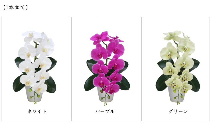 パープルピンク、パープルオーク、ホワイトネイビー3本立て、お問合せください。