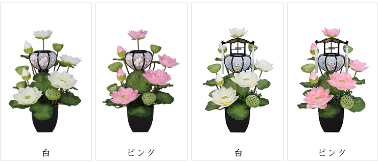 白、ピンク