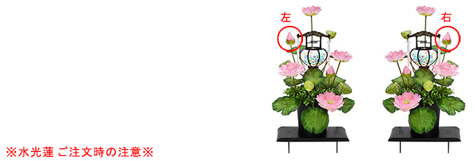 水光蓮注文時の注意