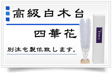 桦Ͳڲ